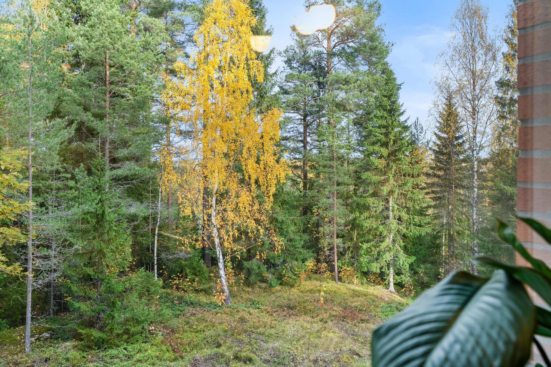 Halmstadsvägen-48