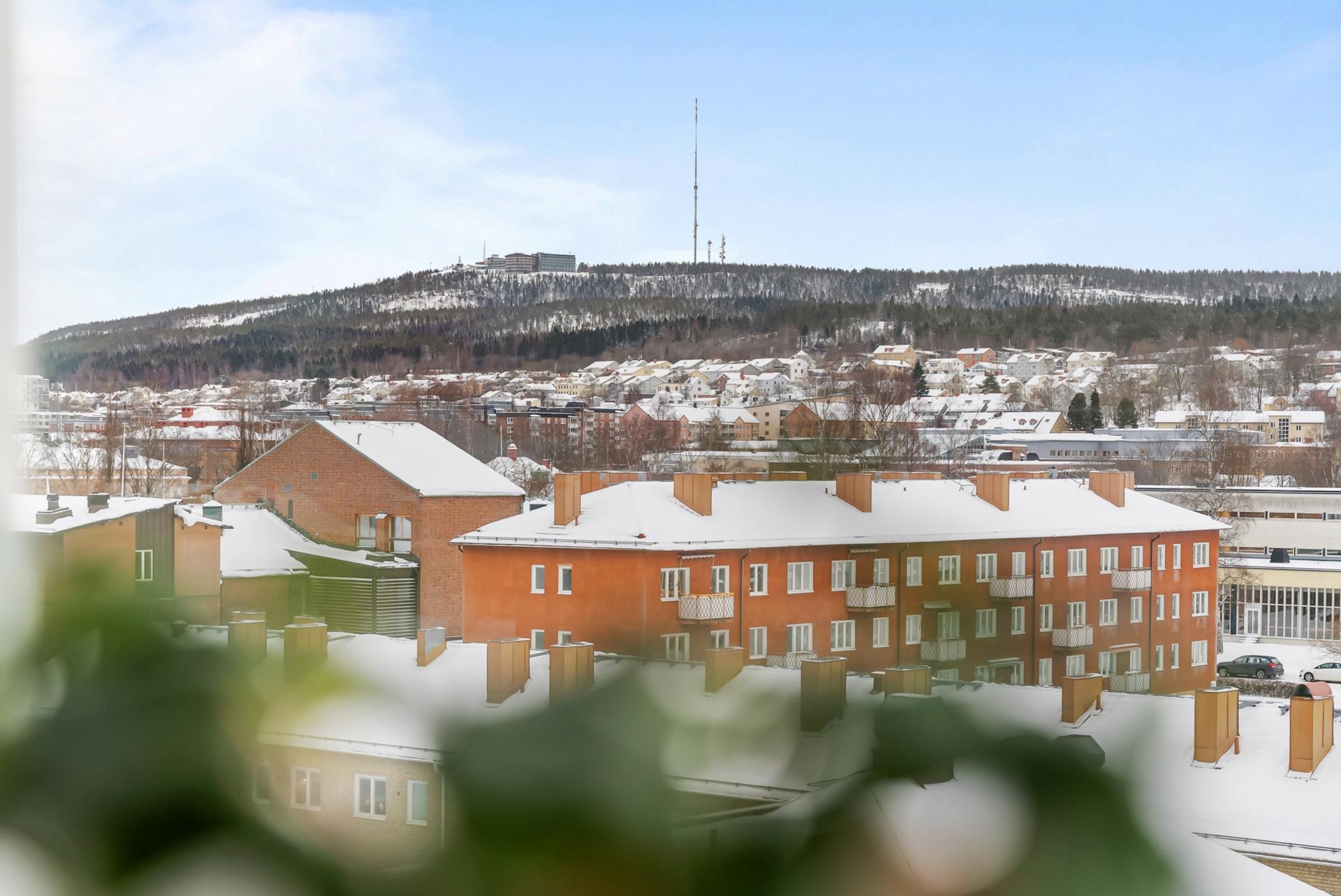 Fin gaveltrea på vån 8 av 8