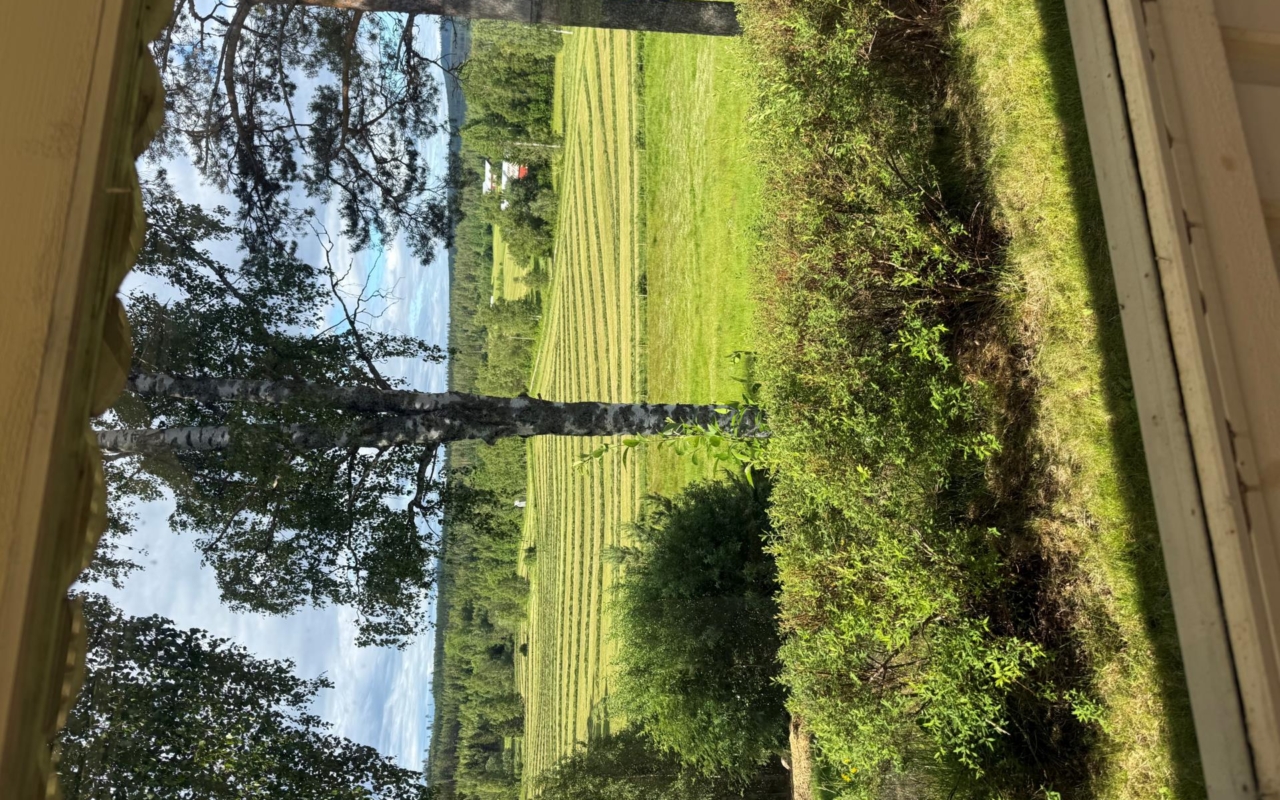 Karström Mäklarbyrå