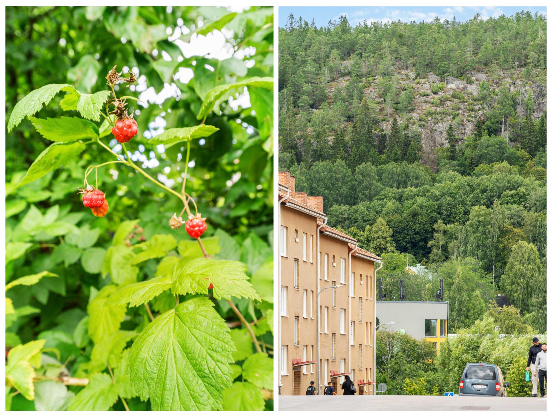 Ljus och välplanerad gaveltvåa – endast en halv trappa upp!