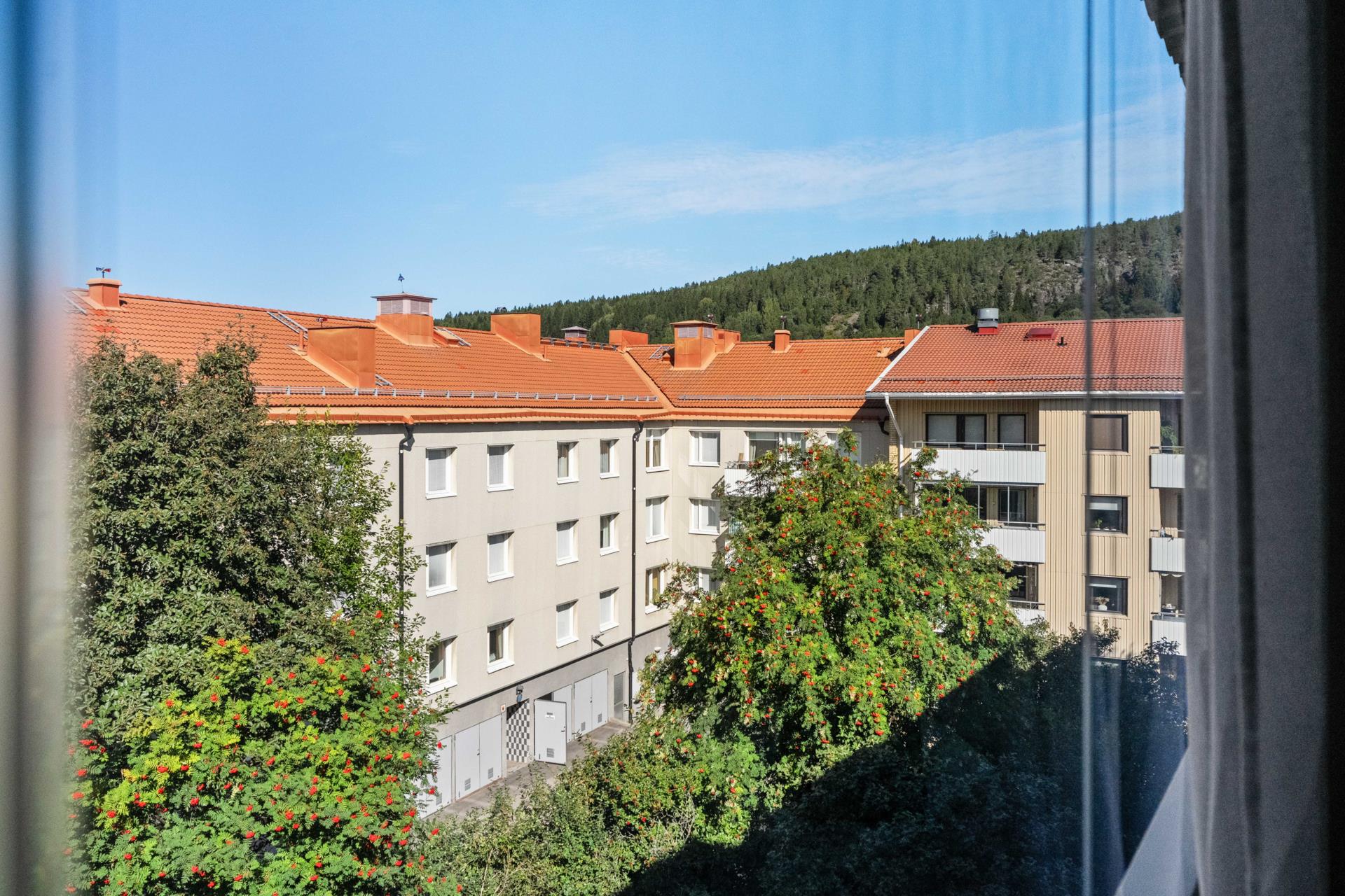 Västra-allén-8B