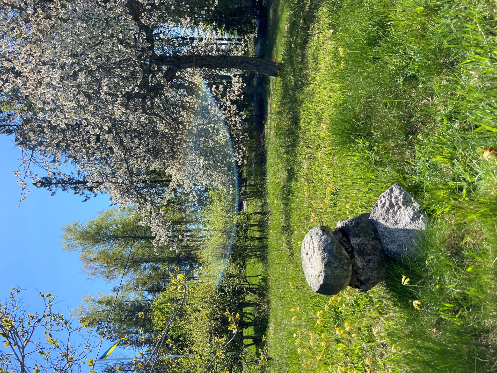 Charmigt fritidshus med lummig omgivning och närhet till sjö!